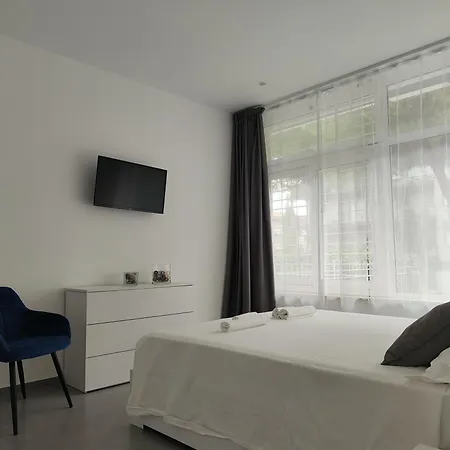 Homiday - Luminoso Pineto